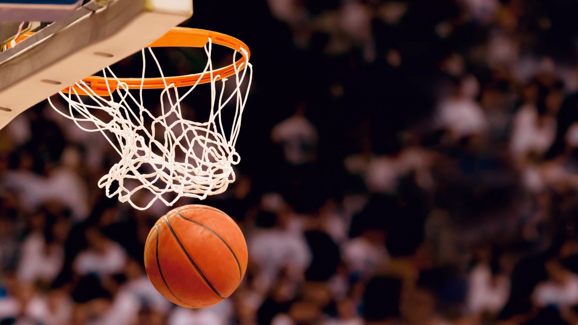 bbin集团-阿森纳备战德甲？浙江队官宣NBA？体育圈玩起错位时空